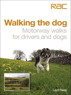 cover image of Walking the Dog
